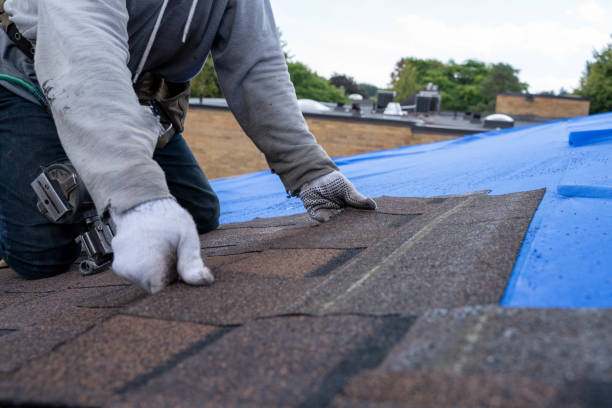 Quick and Trustworthy Emergency Roof Repair Services in Dumfries, VA