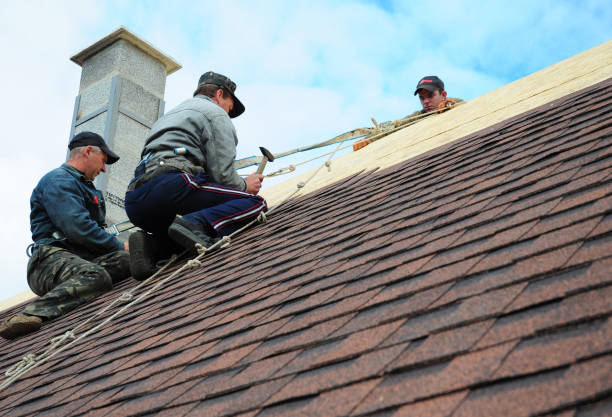 Best Roof Gutter Cleaning  in Dumfries, VA